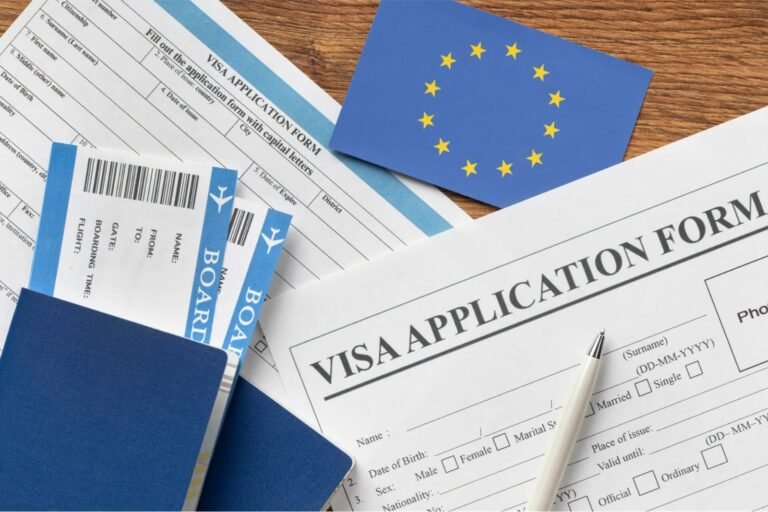 Mericler Education study abroad services and visa consulting banner
